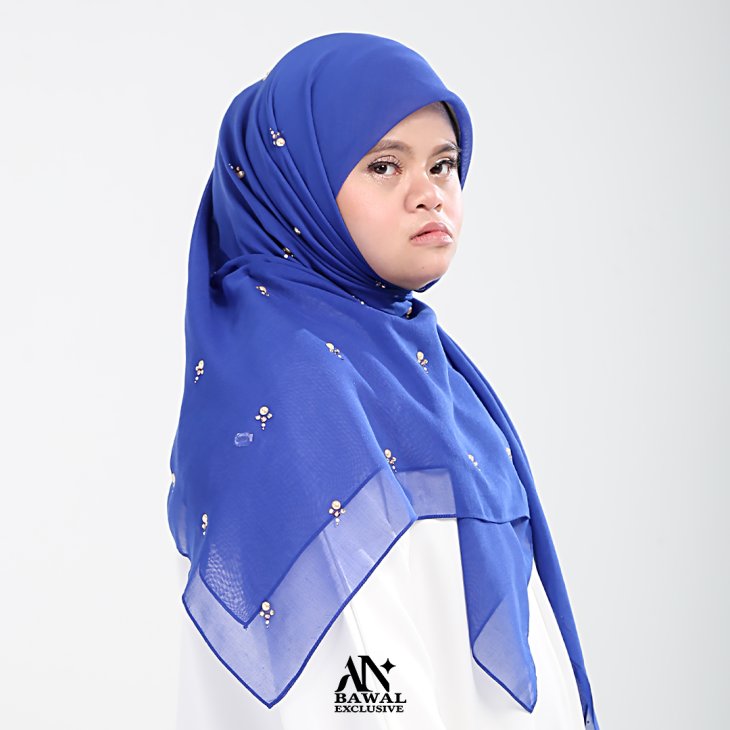 Bawal Horizon - Image 3